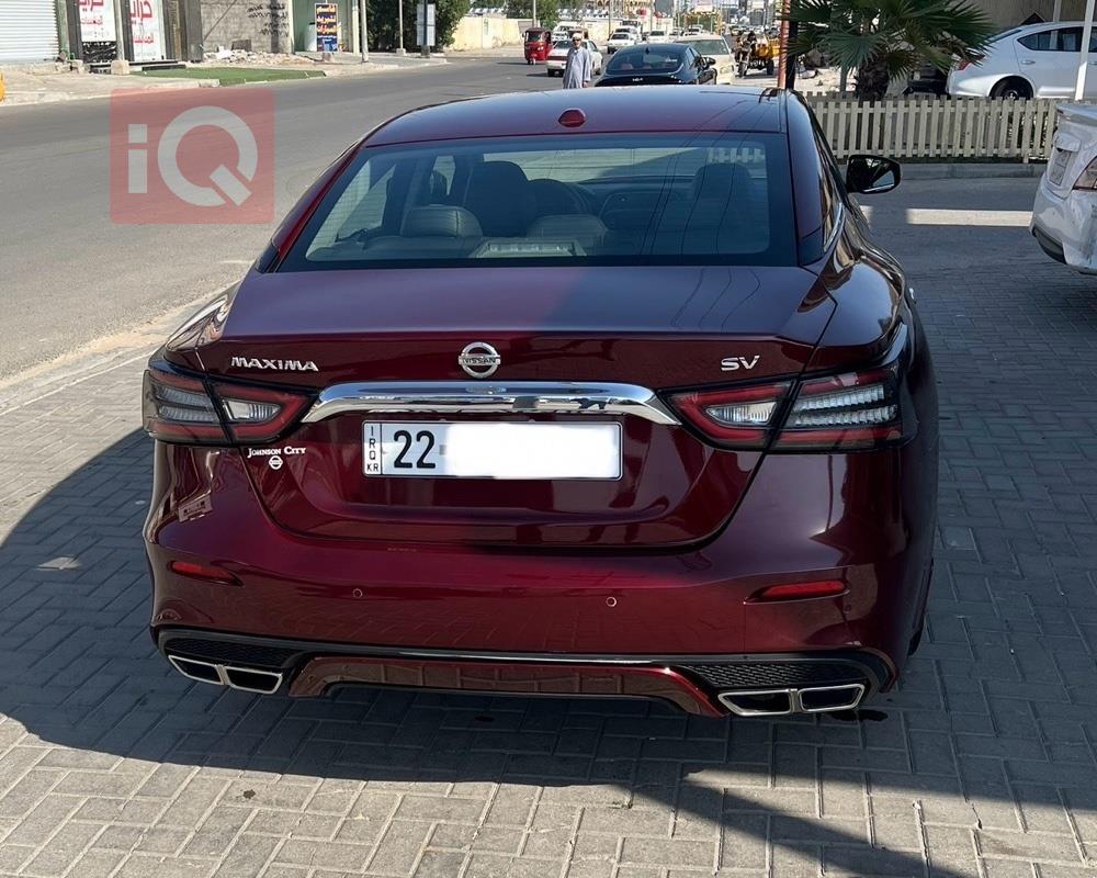 نيسان ماكسيما